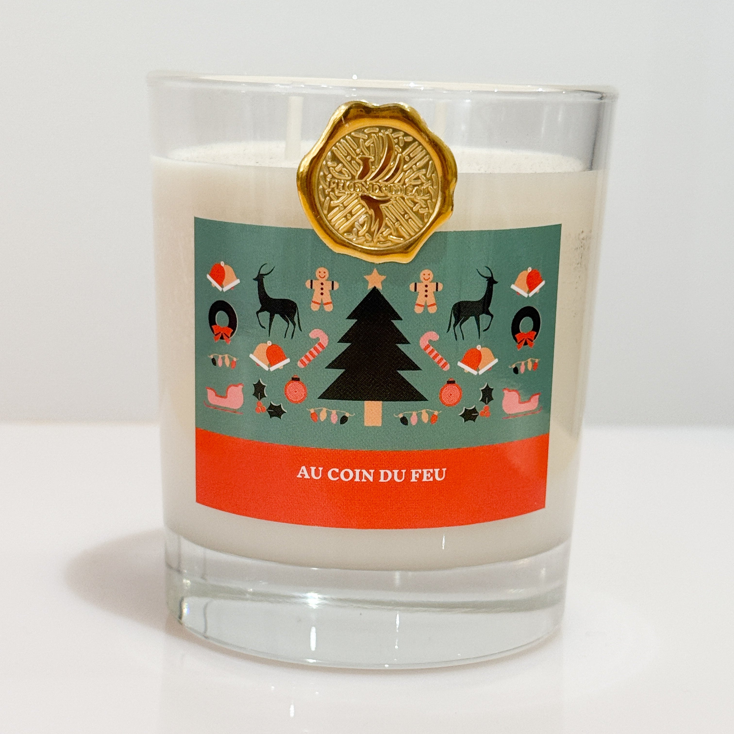 AMBIANCE MAISON "AU COIN DU FEU" - Feu de cheminée