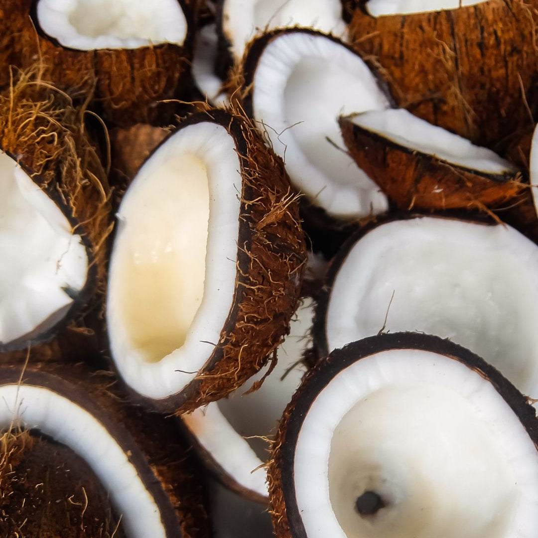 AMBIANCE MAISON "ESCALE GOURMANDE" - Noix de coco