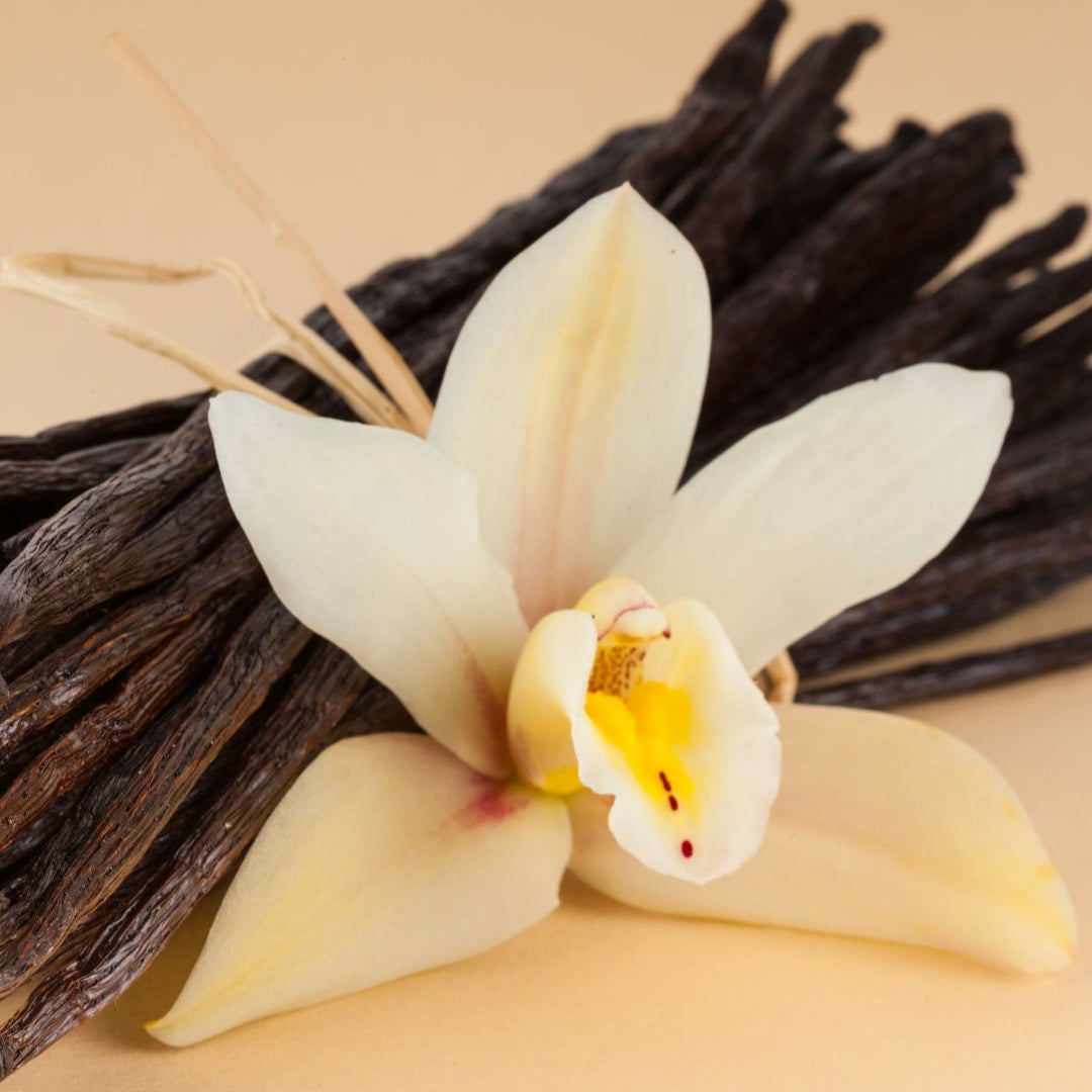 AMBIANCE MAISON "DOUCEUR MYSTERIEUSE"- Vanille